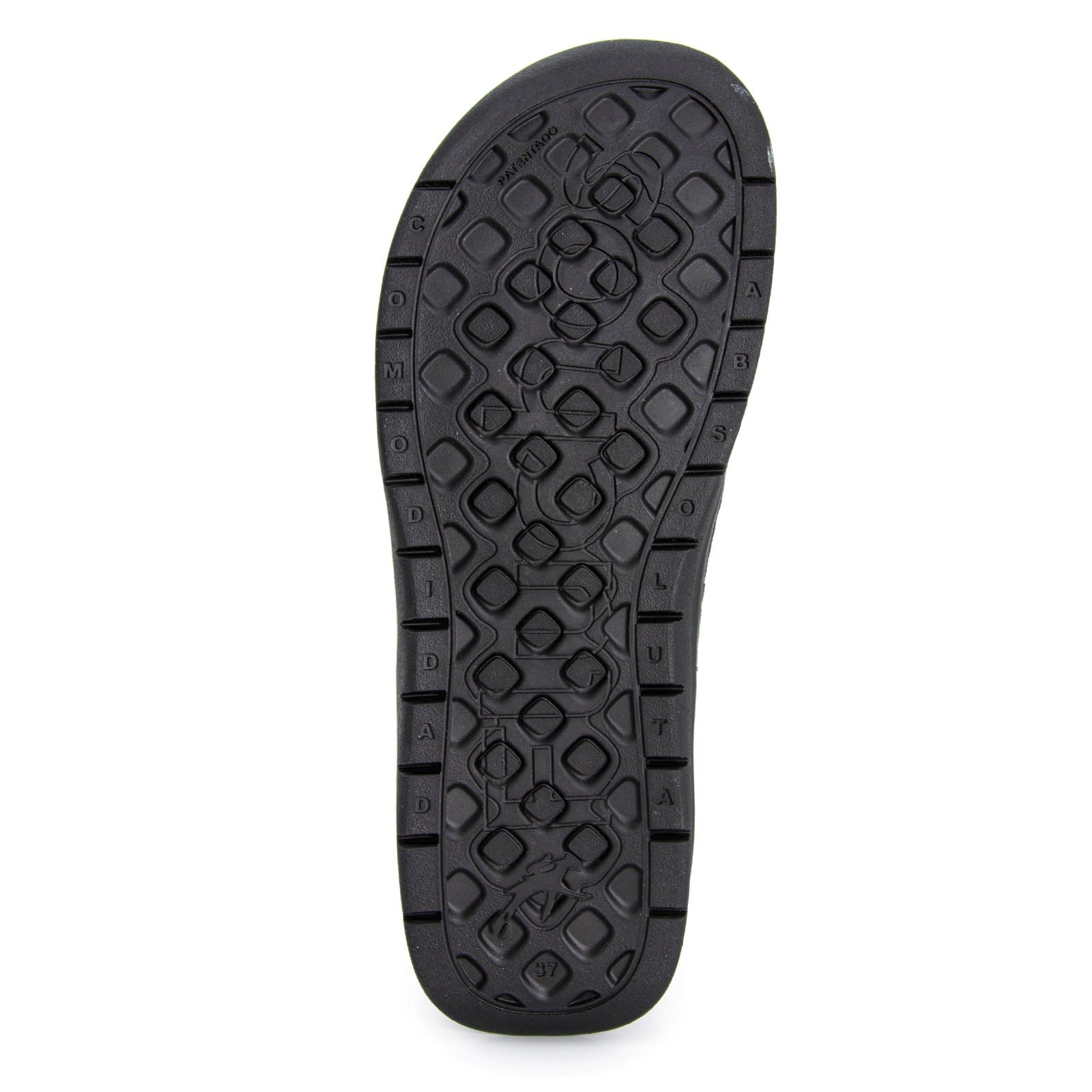 F2552 skimo negro, вид 7