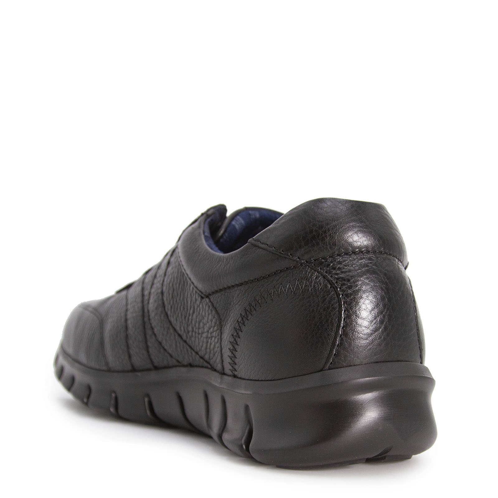 42803 graso negro, вид 4