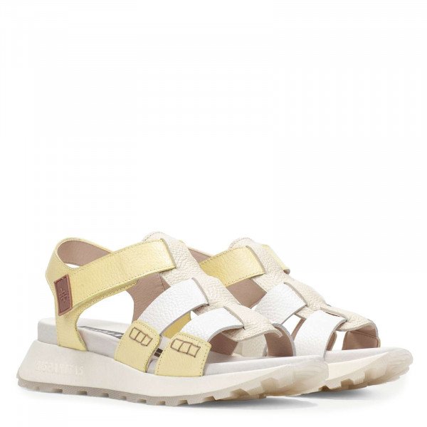 264624 bolero butter panna yellow