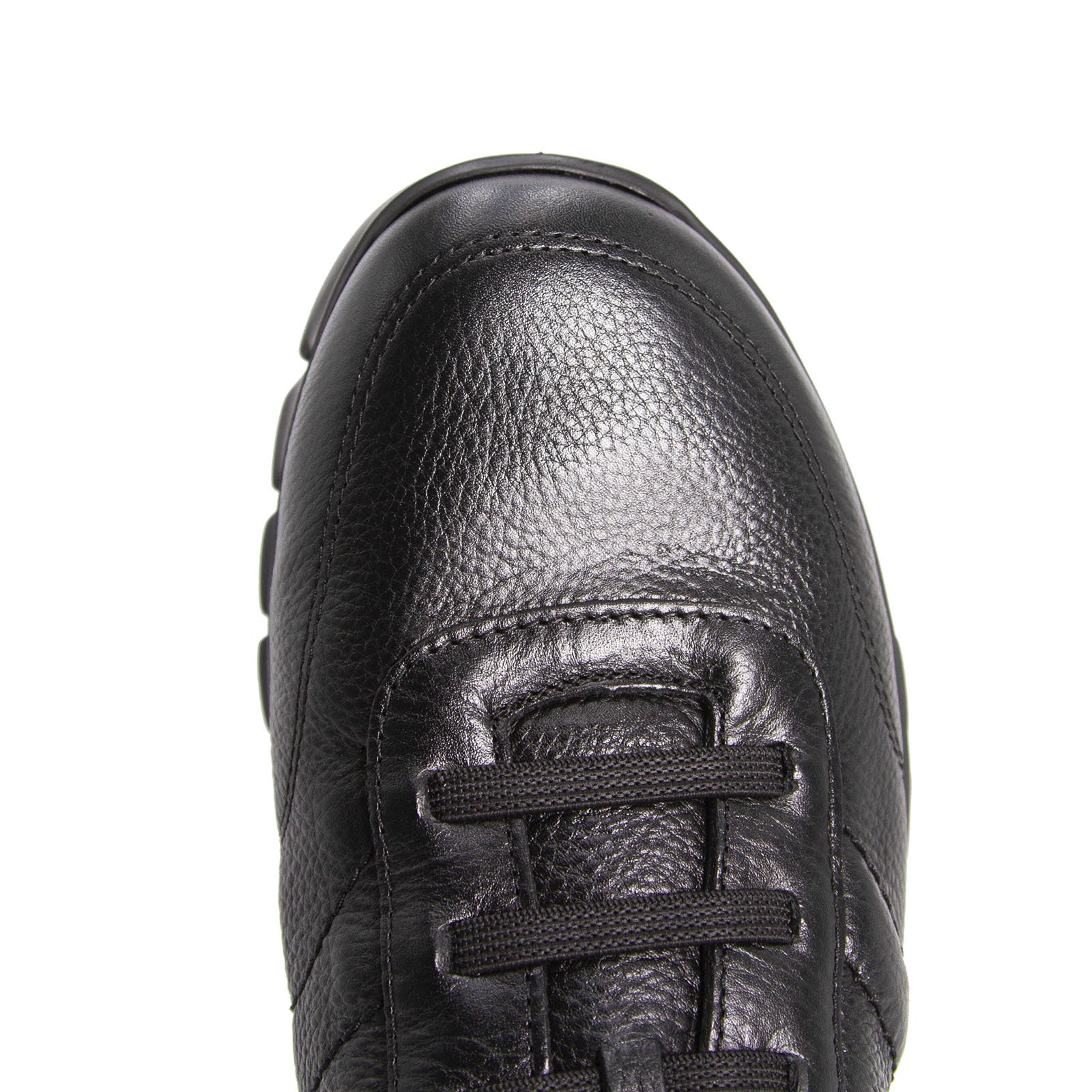 42803 graso negro, вид 6
