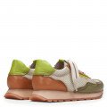 Миниатюра 243392 cervo aloe, вид 3