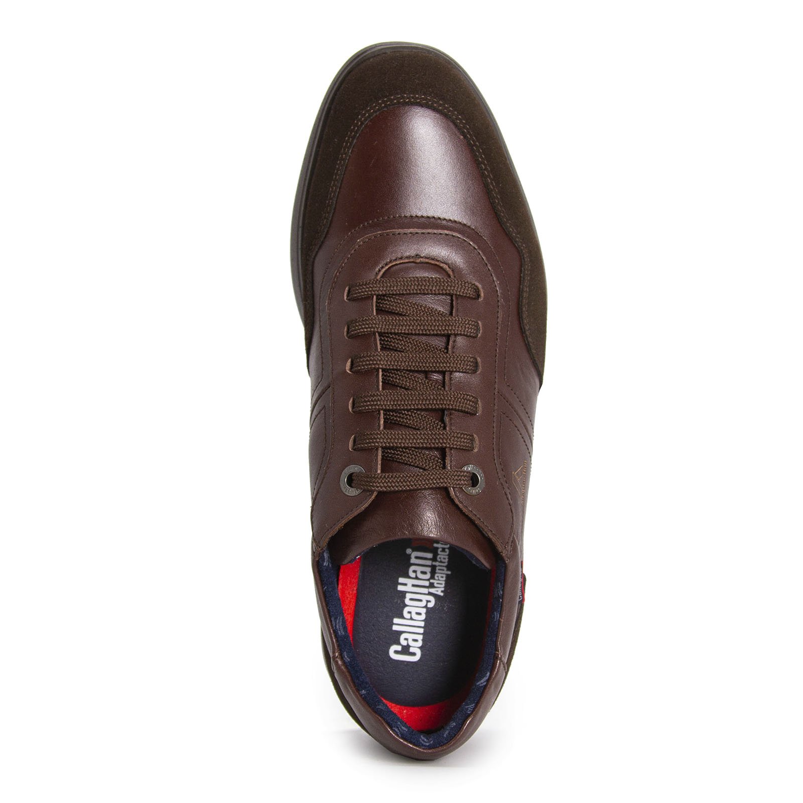 63600 sun testa, вид 5