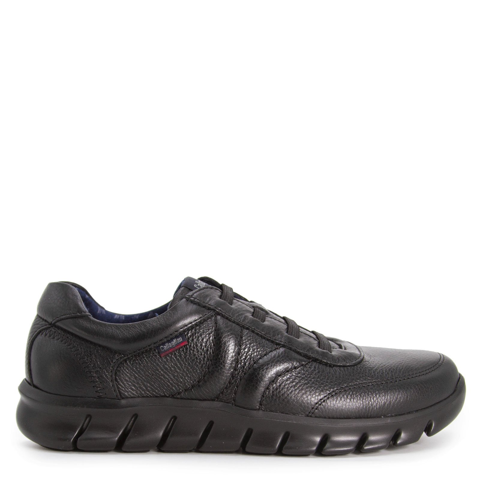 42803 graso negro, вид 2